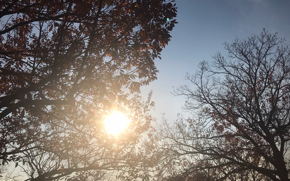 pongee・ポンジー｜