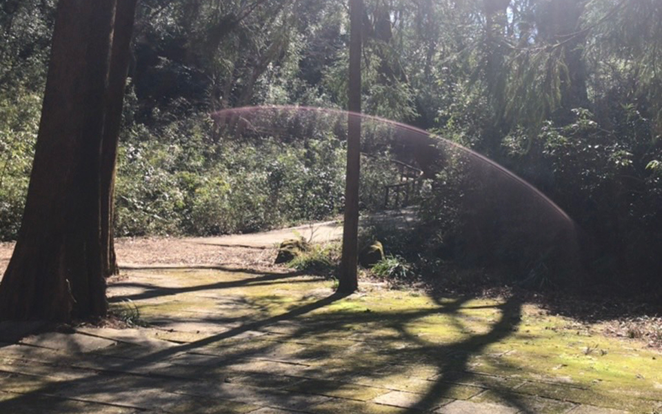 pongee・ポンジー｜